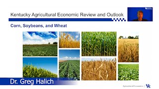 2020 Economic Review and Outlook | Corn, Soybeans, and Wheat
