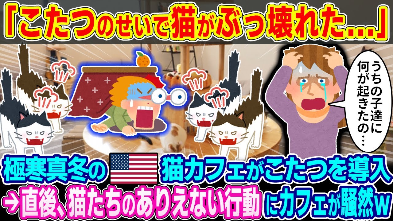 「こたつのせいで猫がぶっ壊れた...」極寒真冬のアメリカの猫カフェがこたつを導入→直後、猫たちのありえない行動にカフェが騒然ｗ【2ch海外の反応】【ゆっくり解説】