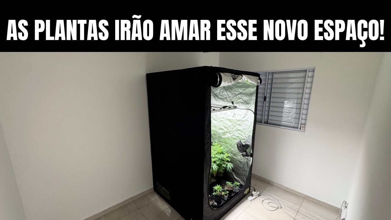 MEU NOVO QUARTO DE CULTIVO INDOOR! ME MUDEI PRA CASA NOVA!