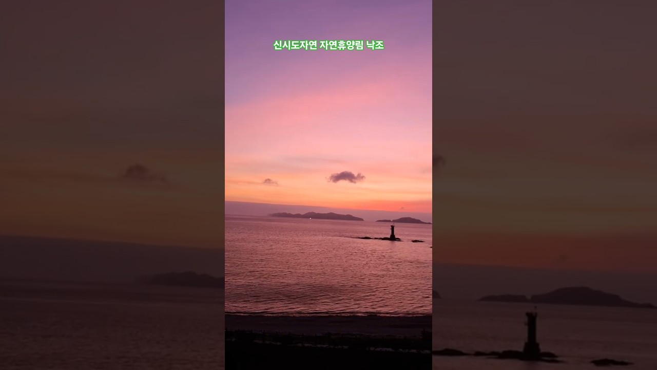 국립 신시도 자연휴양림 선셋 이 뷰면 해외 대신 고군산도 #신시도자연휴양림 #서해선셋 #고군산도여행 #국내오션뷰 #군산숙소추천 #감성브이로그 #sunsetview #shorts