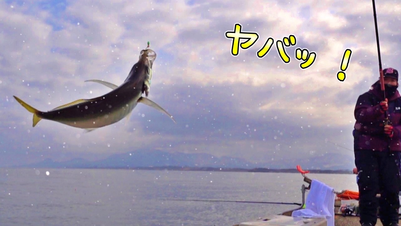 【神回】堤防からまさかのサイズ…遠投カゴ釣り！ハッピーフィッシングで○○40匹爆釣！