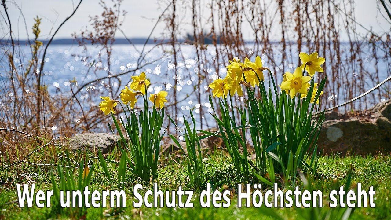 Wer unterm Schutz des Höchsten steht (GL 423) - zum Mitsingen mit Text