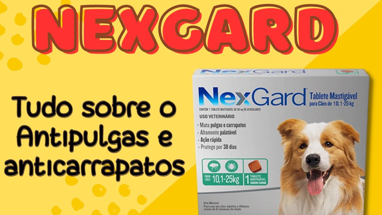 NexGard: Como Funciona, Efeitos Colaterais e Como Proteger Seu Cão de ...