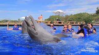 Swimming with dolphins in Puerto Vallarta