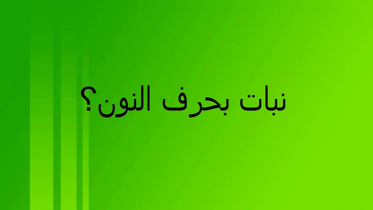 نبات بحرف النون - YouTube