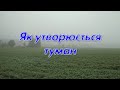 Як утворюється туман