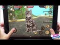 Cat Sim Online: Play with Cat Clan Pet Simulator Android Gameplay Tv Video