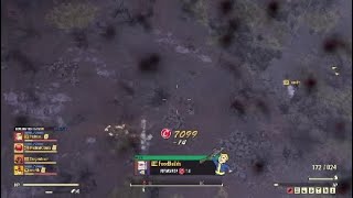 Foodbuilds 1v1 Fo76 pvp