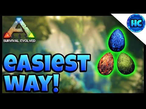 Video How To Hatch Wyvern Eggs Video How To Hatch Wyvern Eggs