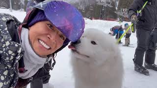 Japan 14 day Snowboard trip! 2026 January