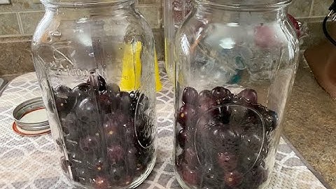 Muscadine Wine at home. Part 1