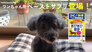 食いつき◎のおいしいクリームペースト状サプリ『犬用 国産 ごちそうサプリ きびきび散歩』