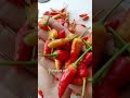 🌶️ Cabe Segar Pilihan 🌶️ #2026 #fypシ #affiliate #1000subscriber #100k