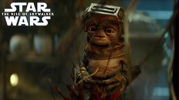 Meet Babu Frik | Star Wars: The Rise of Skywalker