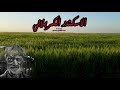 معزوفة داشريه ريمكس عراقي يمه حميد يمه 