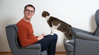 Why Does Your Cat Follow You? Unveiling the Mystery!