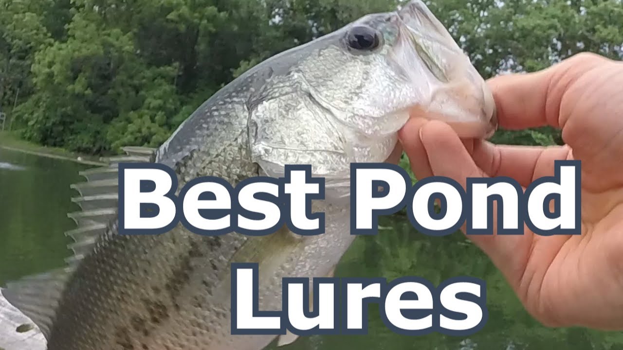 Two Best Lures for Pond Bass Fishing Summer Tips and Tricks Bass