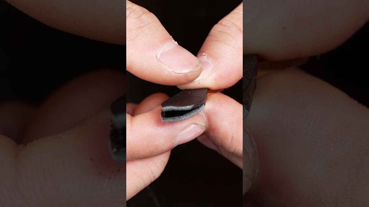 POV: Watching a masterpiece come to life. ✨