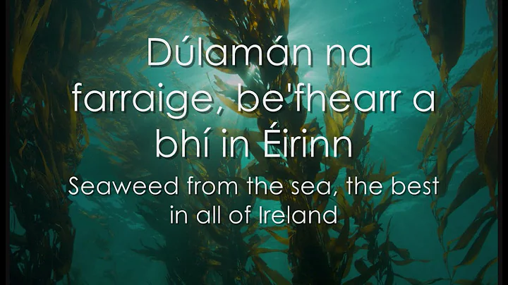 Dlamn - LYRICS + Translation - Celtic Woman