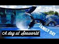 Family day at Seaworld | Vacation | Shamu