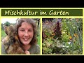 Mischkultur 🌱🌷🍀 Pflanzengesundheit │ Permakultur │Garten