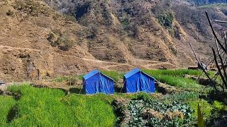 Most Peaceful And Relaxing Nature Mountain Village Daily Lifestyle || Organic Sherpa Village Life
