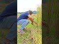 নতুন নতুন প্রেম করলে যা হয়! 🤣#banglafunny #comedy #banglacomedy #trendingvideo #foryou