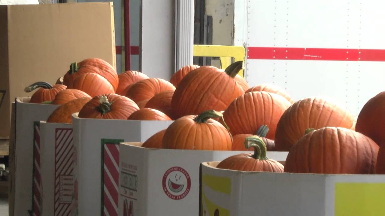 Food City Local Growers Series- J.C. Banks