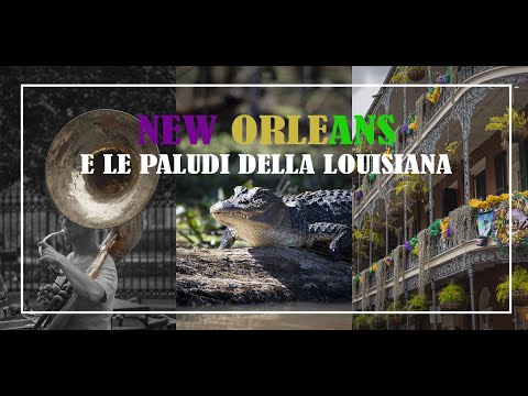 Video: Dove vedere gli alligatori a New Orleans e dintorni