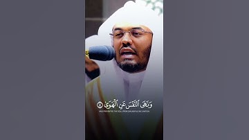 وَأَمَّا مَنْ خَافَ مَقَامَ رَبِّهِ ~ تلاوة خاشعة تأسر القلوب للشيخ ياسر الدوسري بأعلى طبقات صوته 😢💔