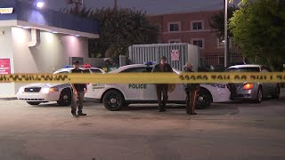 Police in Miami-Dade searching for armed carjacking suspects
