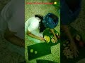 #minivlog#nursingstudent#janmashtamispecial#13/15days challenge#please#supportme#subscribemychannel#