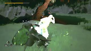Famous ABSOLVER Stance Bug 7 Wealth