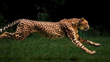 Grow your business with IBM POWER9 by InTTrust!