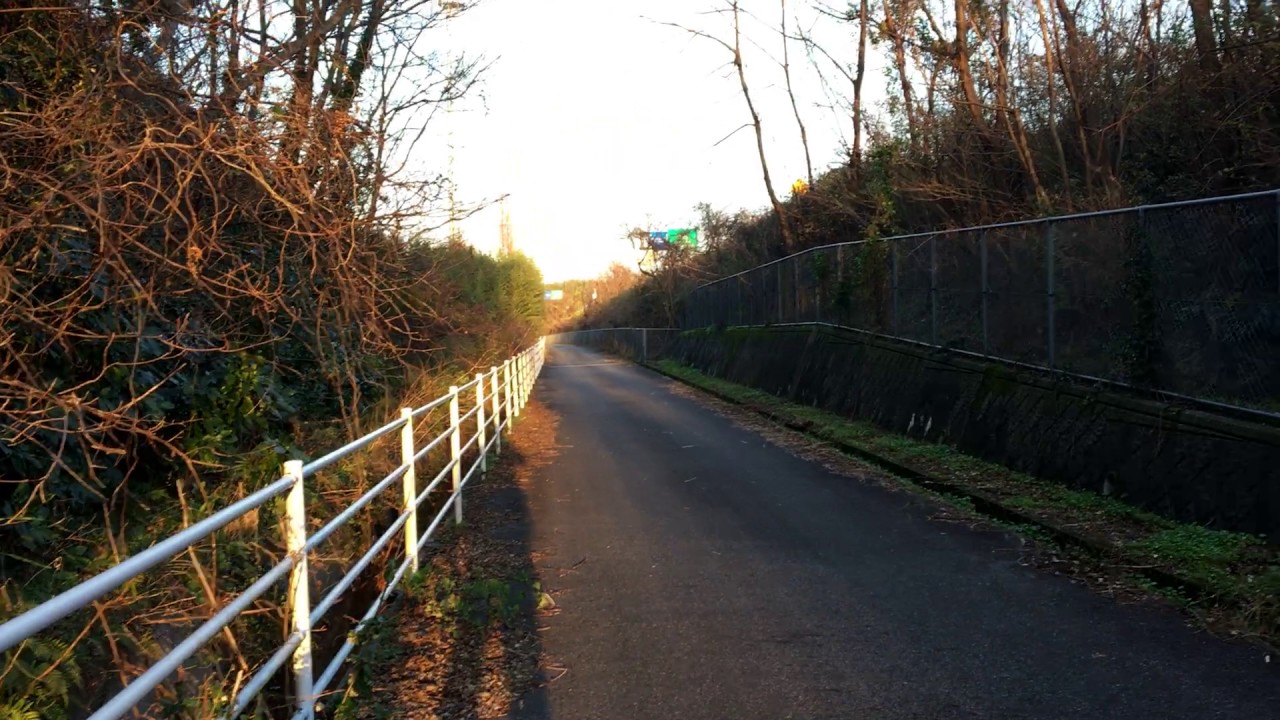 島根女子大生死体遺棄事件 犯人の矢野富栄とは 犯行経緯や生い立ちを解説 女性が映えるエンタメ ライフマガジン