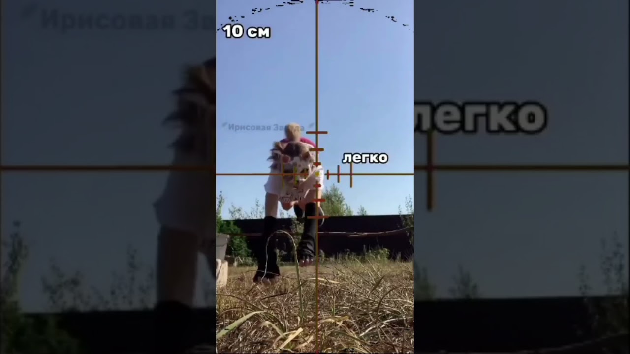 #квадробика