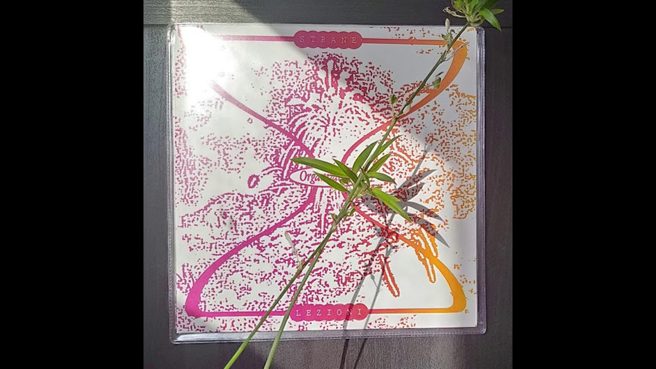 Organizatsiya - Strane Lezioni [besoins premiers]