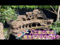 【特大テラリウム庭池作り】⑤人工岩山完成！滝・鍾乳洞付き