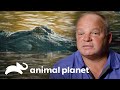 ¡Aterrador relato de una mordida de caimán de 200 kilos! | Solo y en peligro | Animal Planet