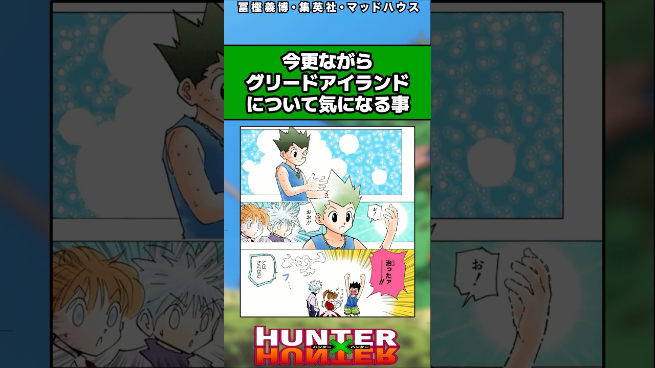 今更ながらGIについて気になること#ハンターハンター反応集 #ハンターハンター #shorts
