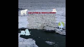 Şablondur Şvetküsmüyüz