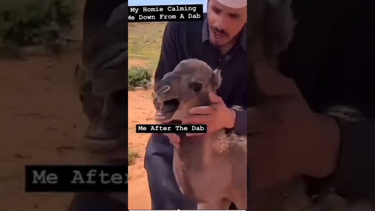 How it is after a fat 