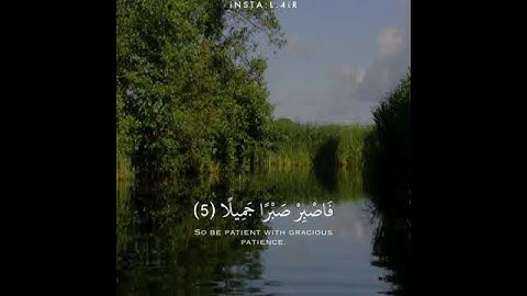 القارئ ماهر المعيقلي سورة (المعارج)