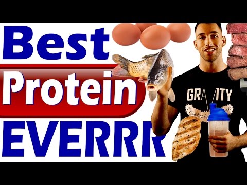 best-protein-to-lose-weight,-build-muscle,-&-get-lean-&-ripped-foods-to-eat-to-burn-belly-fat-weight
