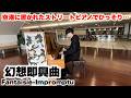 空港に置かれたピアノでひっそり『幻想即興曲』弾いてみた