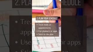 Study Tips: Beat Procrastination, Build Consistency 🎯
