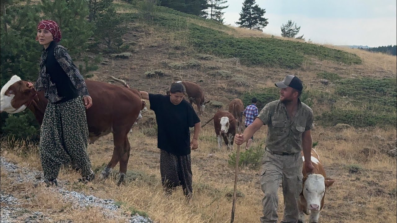 YAYLADA AİLE İŞLETMESİ