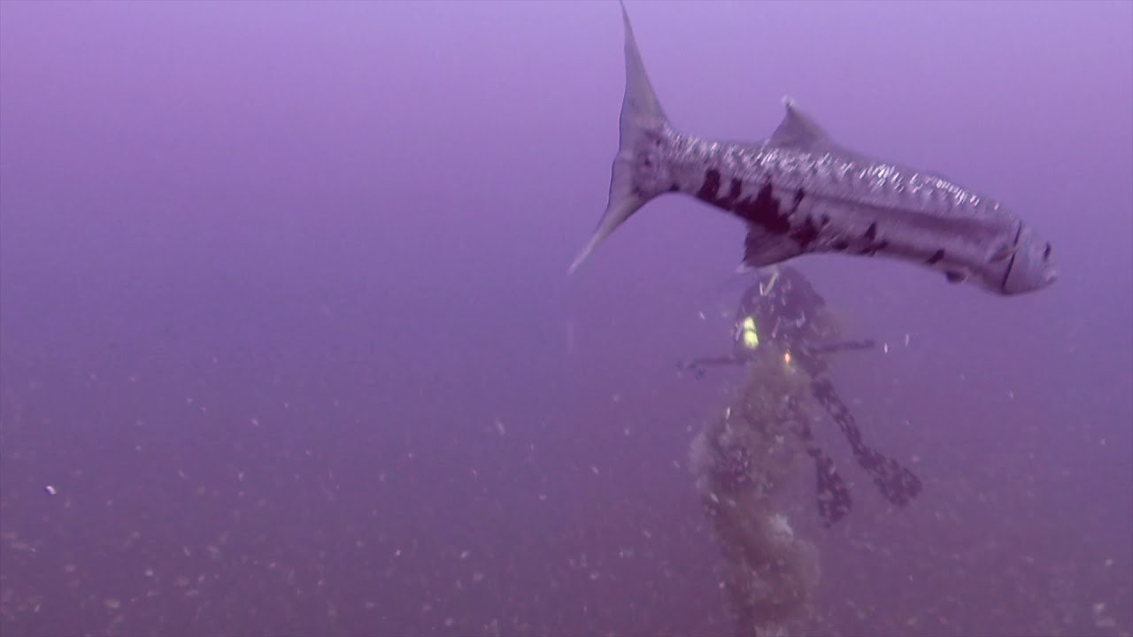 Diving "The Valour" Shipwreck, North Carolina YouTube