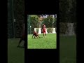 How Messi plays with his dog VS how Ronaldo does