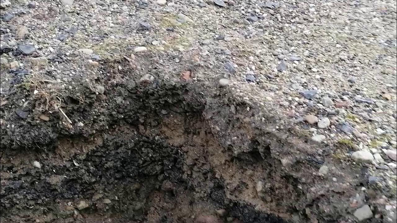 Discovering white Quartz in the soil YouTube